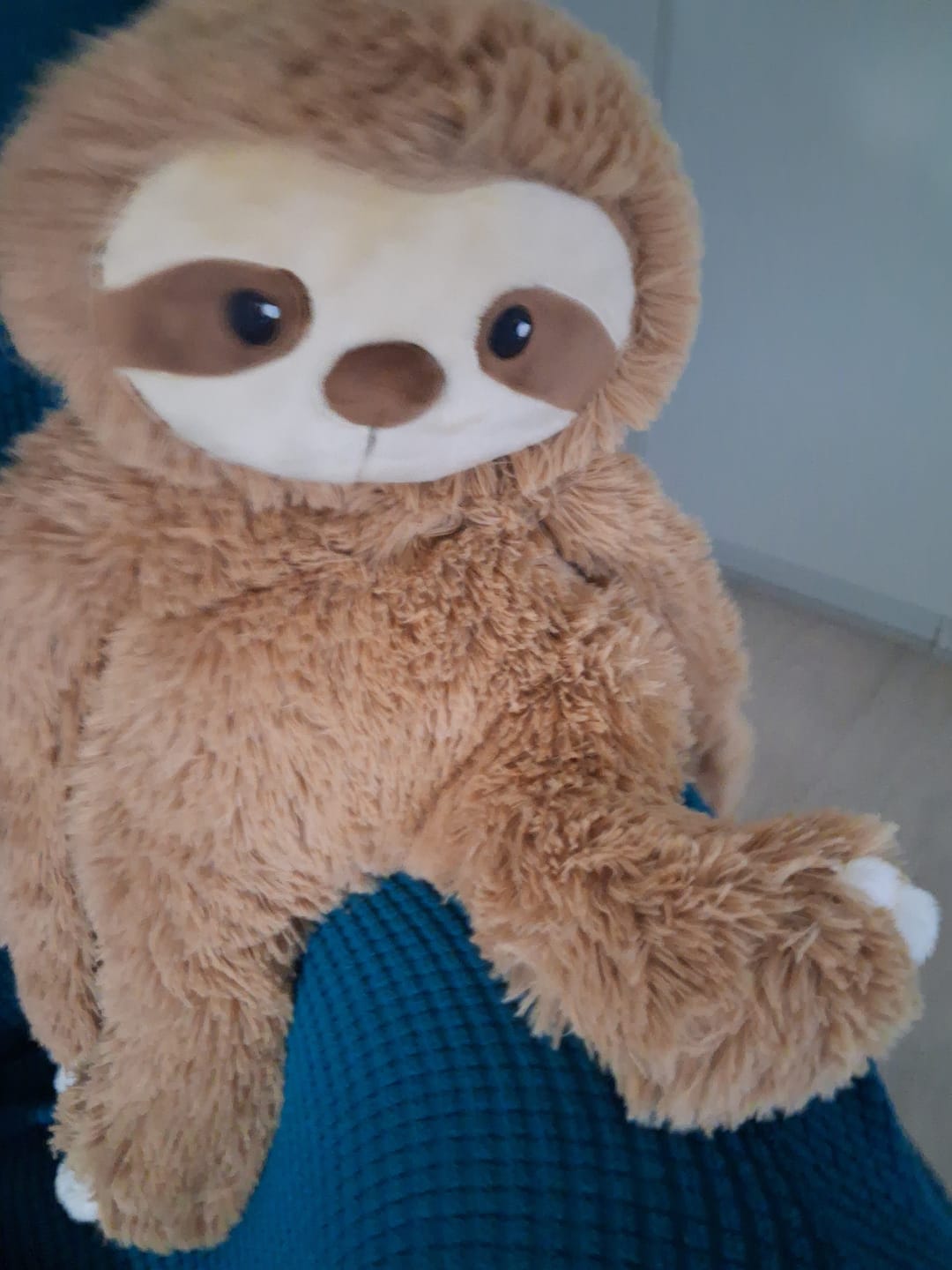 Customer photo review of Lotgenootje Luiaard 2,5kg