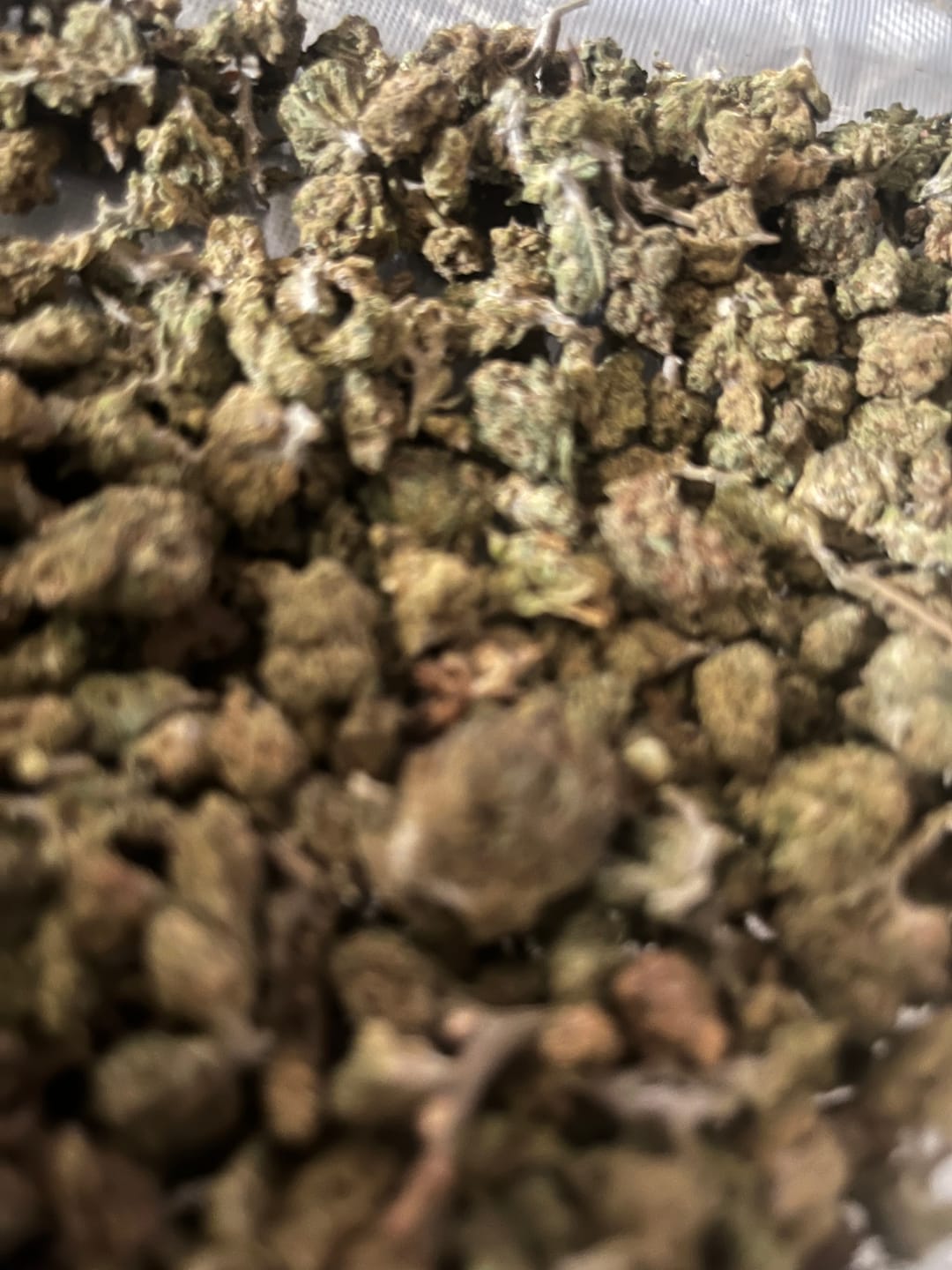 Customer photo review of QP of Smalls - Bulk - Misc - 1/4 Pounds