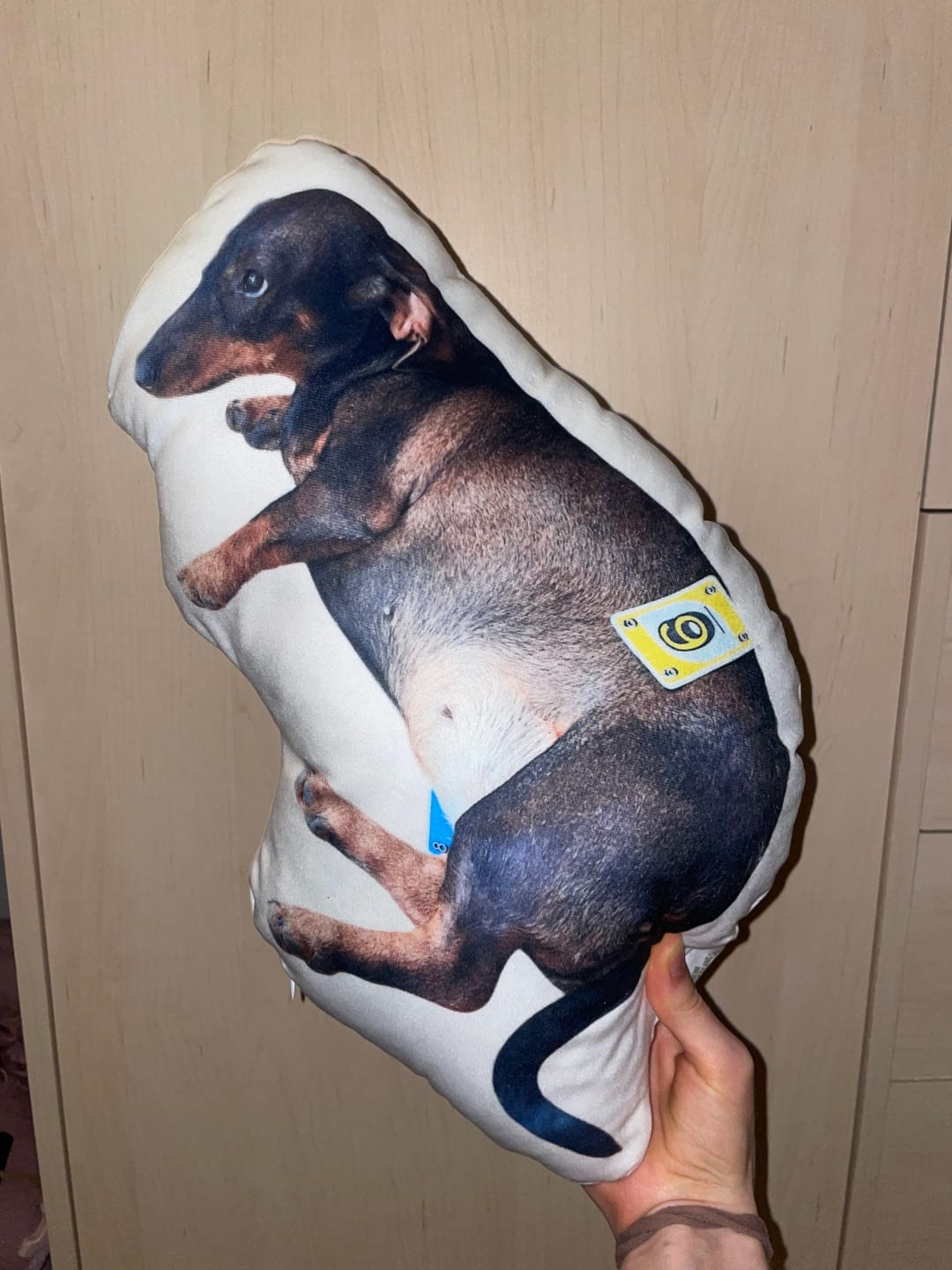 Customer photo review of Personalisiertes Hundekissen
