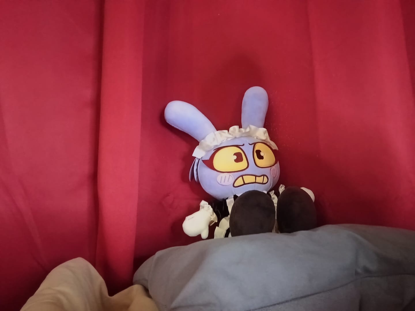 Customer photo review of Maid Jax Plush