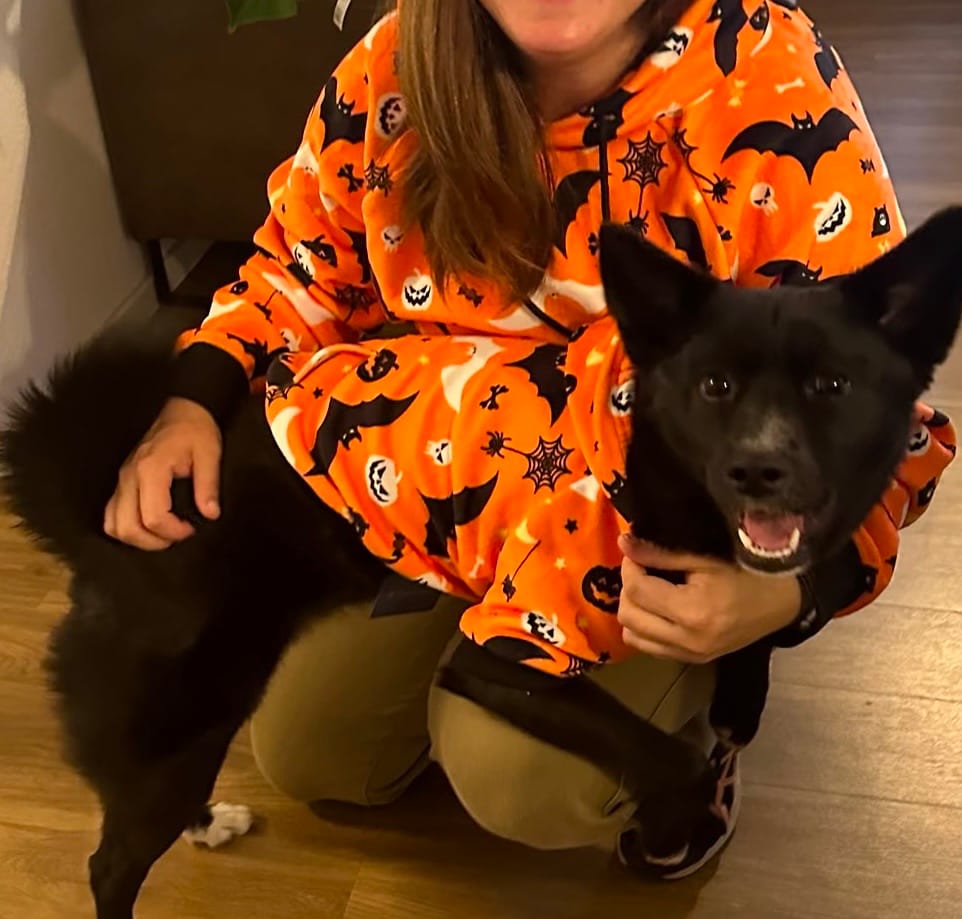 Customer photo review of Halloween Dog Hoodie - Orange