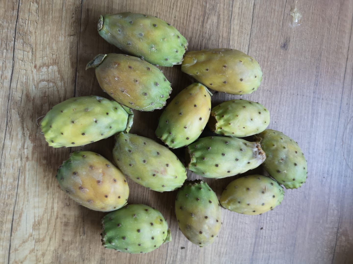 Customer photo review of Kaktusfeigen naturbelassen von Julian
