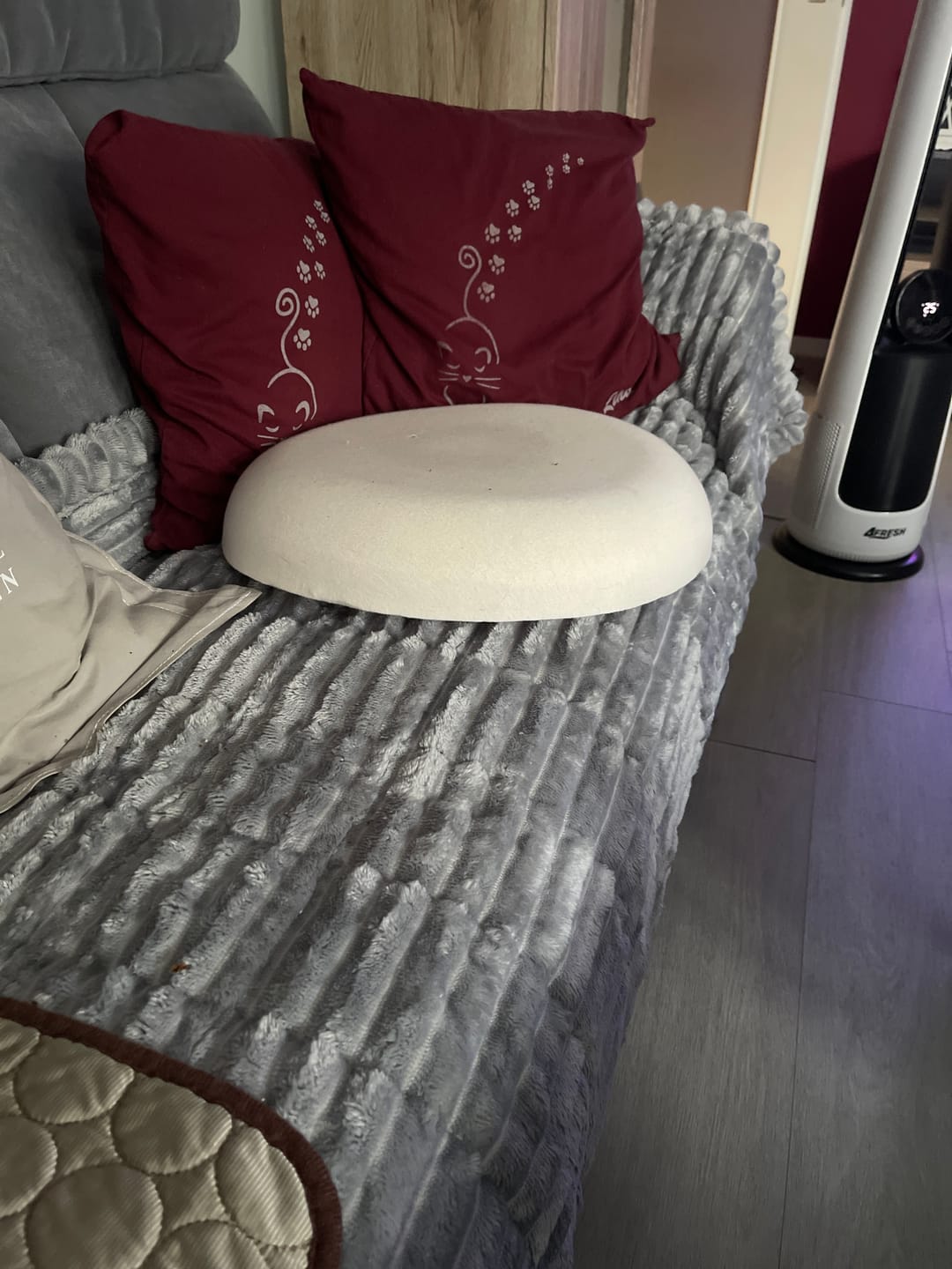 Customer photo review of PetLounge I Premium Sofa-Schutz