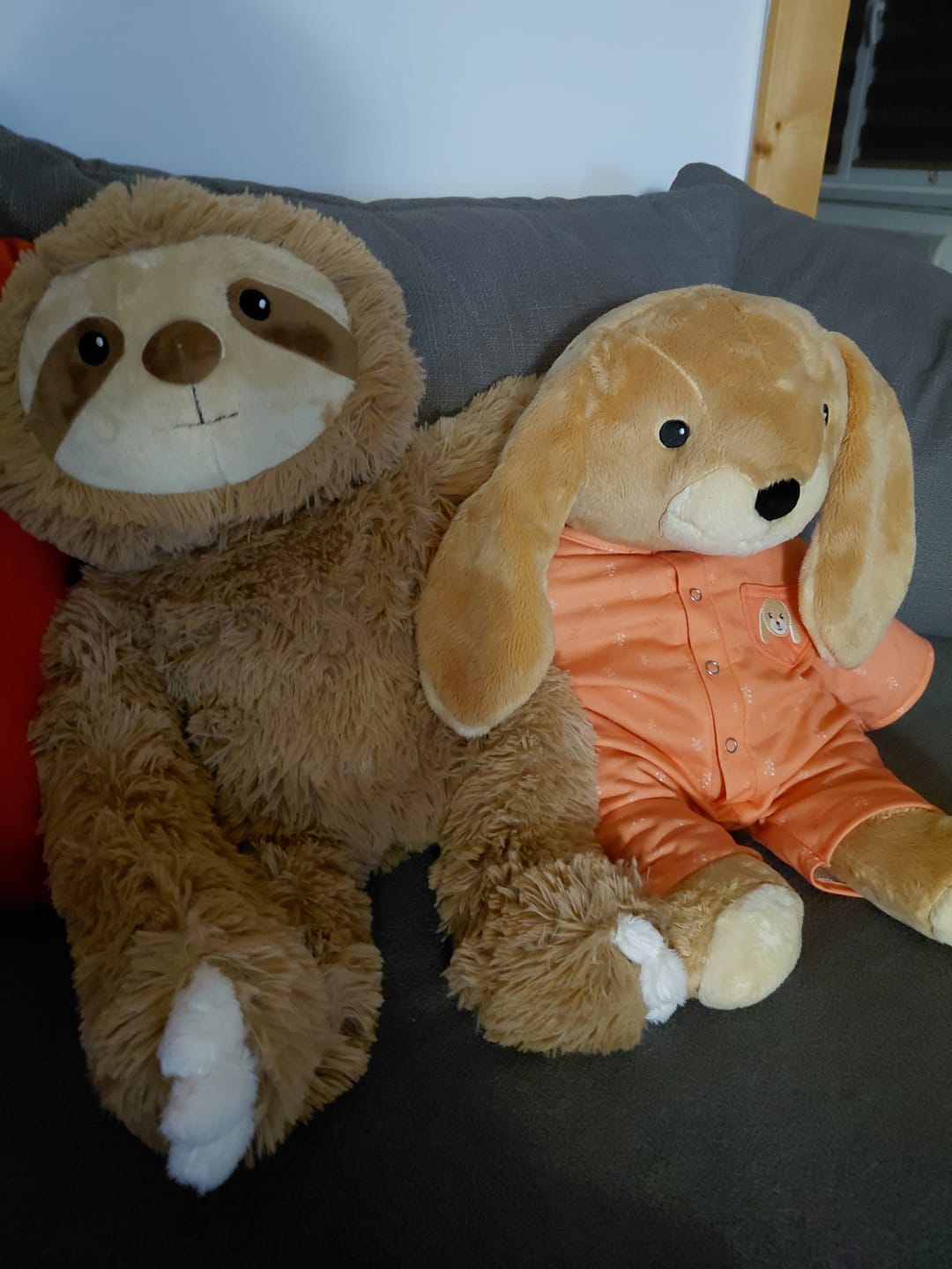 Customer photo review of Lotgenootje Luiaard 2,5kg