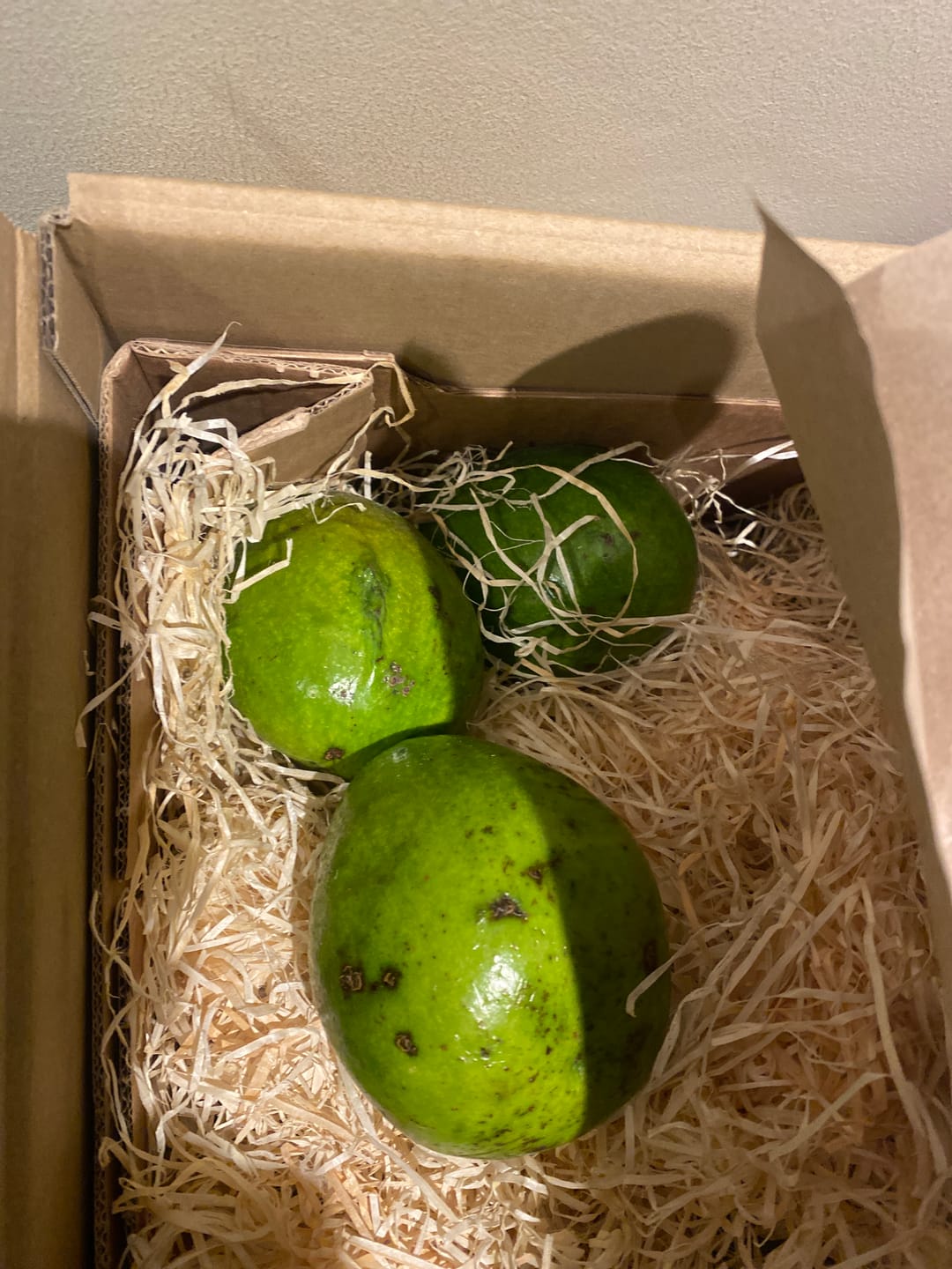 Customer photo review of Avocado Margarida (Stk. ca. 500g)