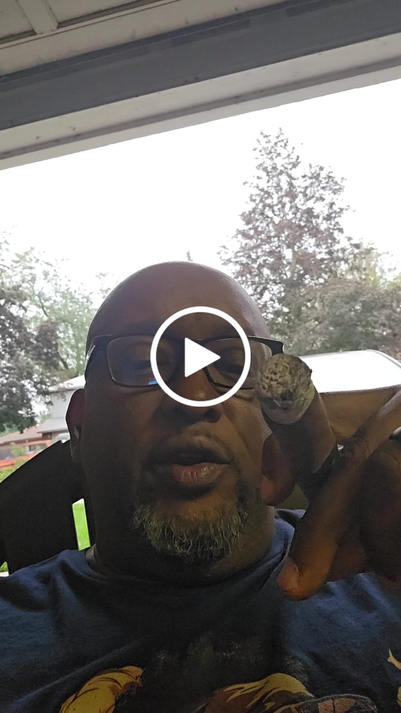 Customer video review of The Cigar Smoking Shirt Softstyle T-Shirt