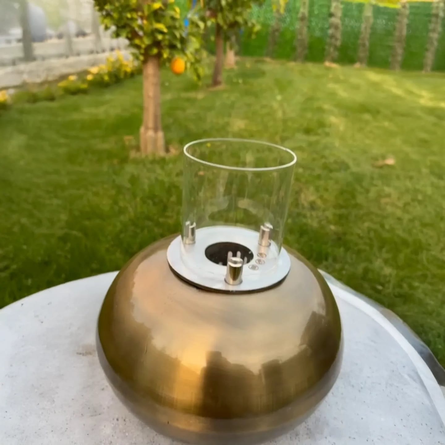 Customer photo review of SHINE ALTIN