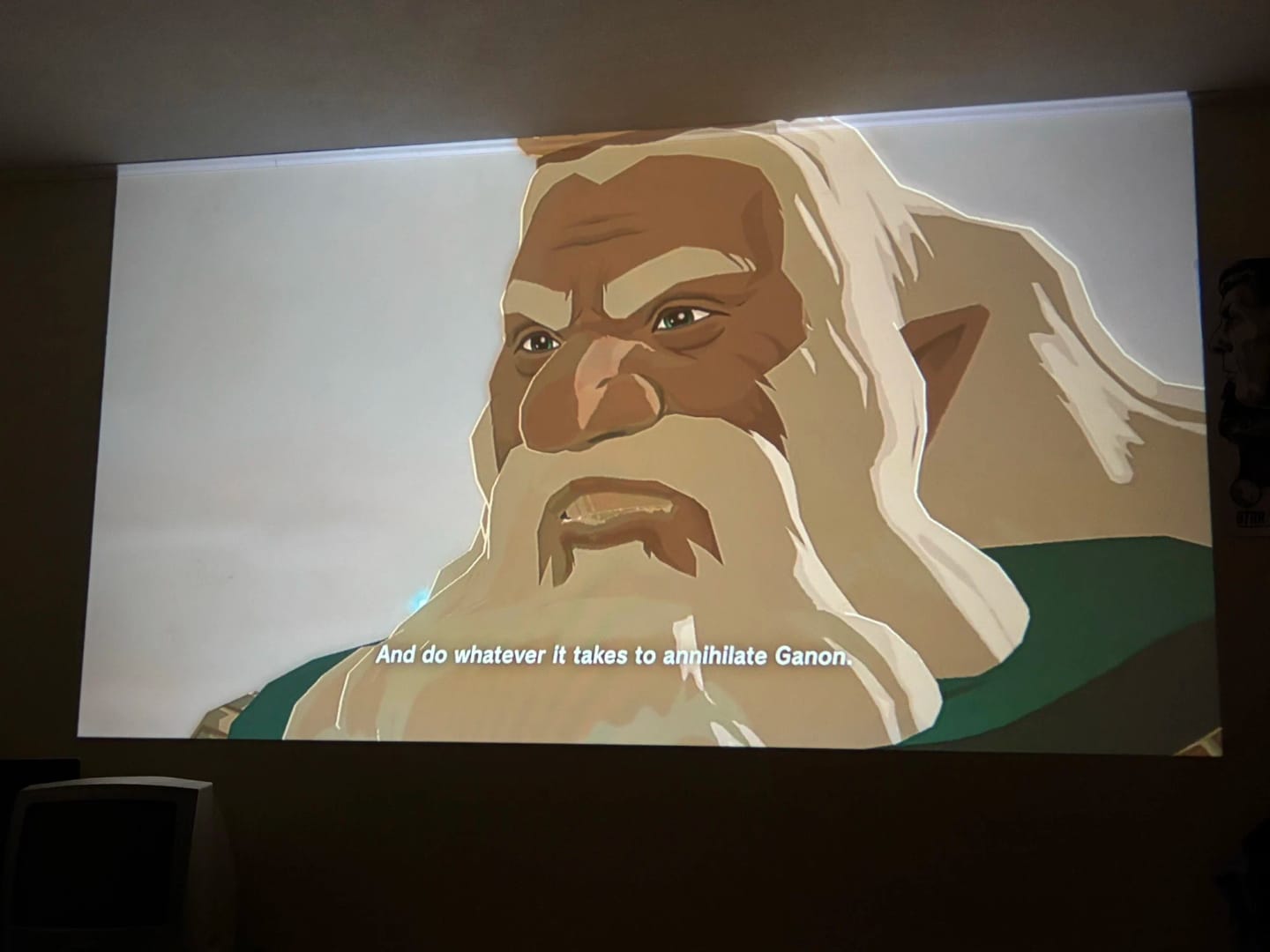 Customer photo review of DarkCast Halloween Projector™