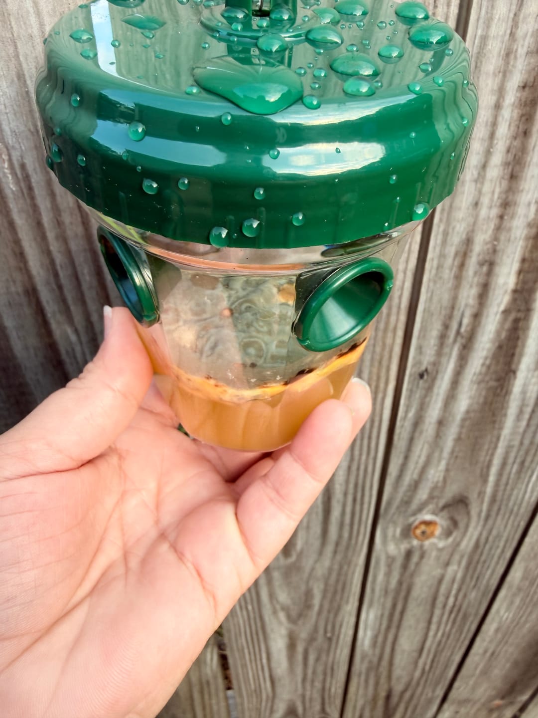 Customer photo review of Mosquito TNT 2.0