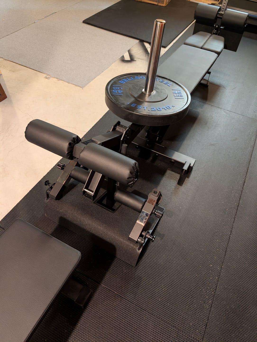 Customer photo review of APEX BARRETT BELT SQUAT