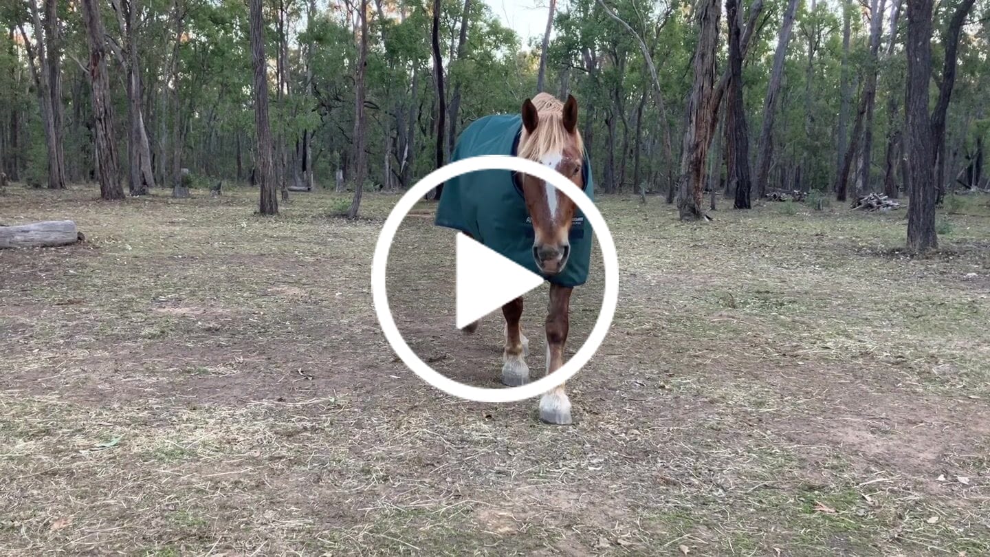 Customer video review of Amigo Ripstop 900D Plus Turnout 100g