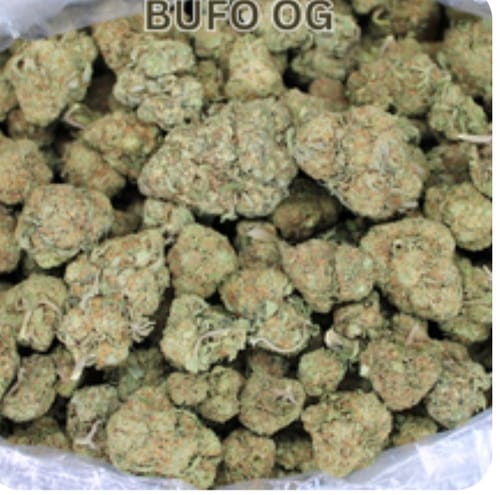 Customer photo review of Toad Crossing THCA Flower