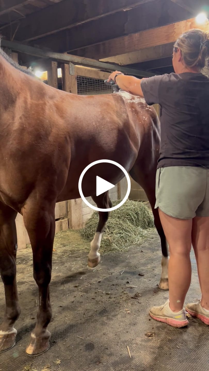 Customer video review of HorseHalo™ 8 Heads Red Light Massage Gun