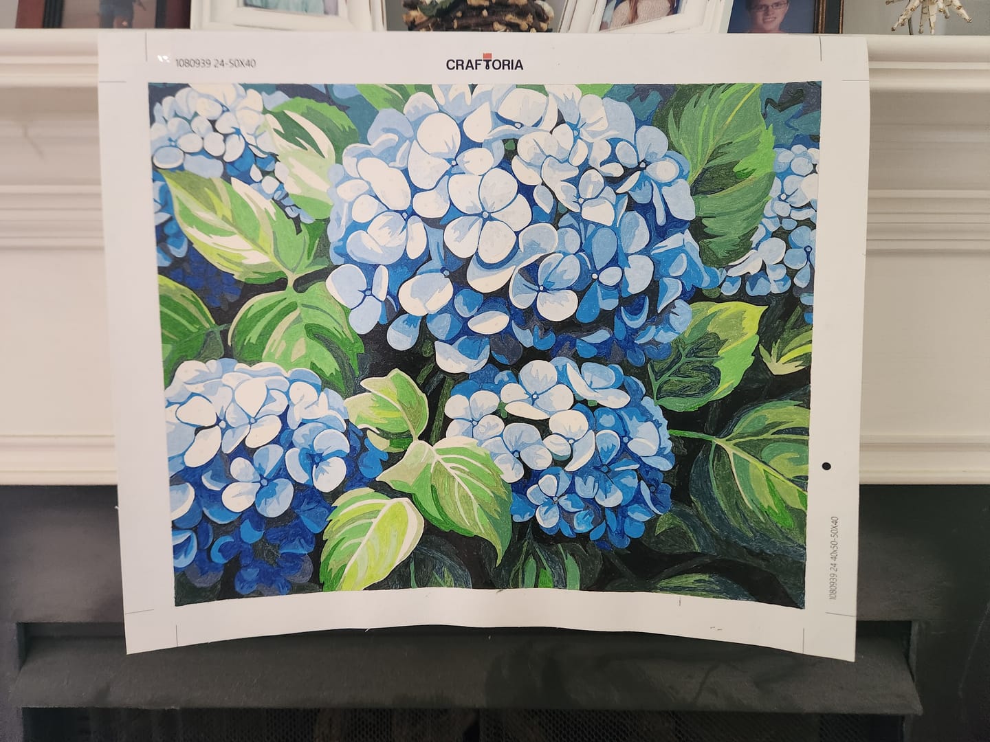 Customer photo review of Clustered Hydrangeas