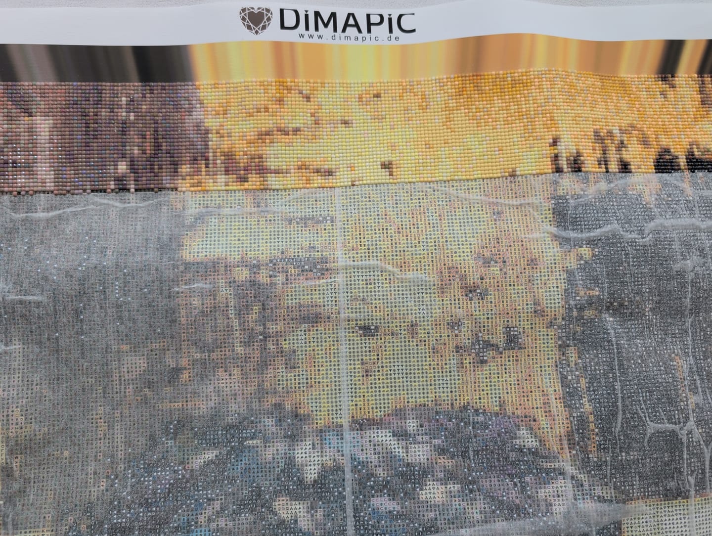 Customer photo review of 5D Diamond Painting - Black Bull