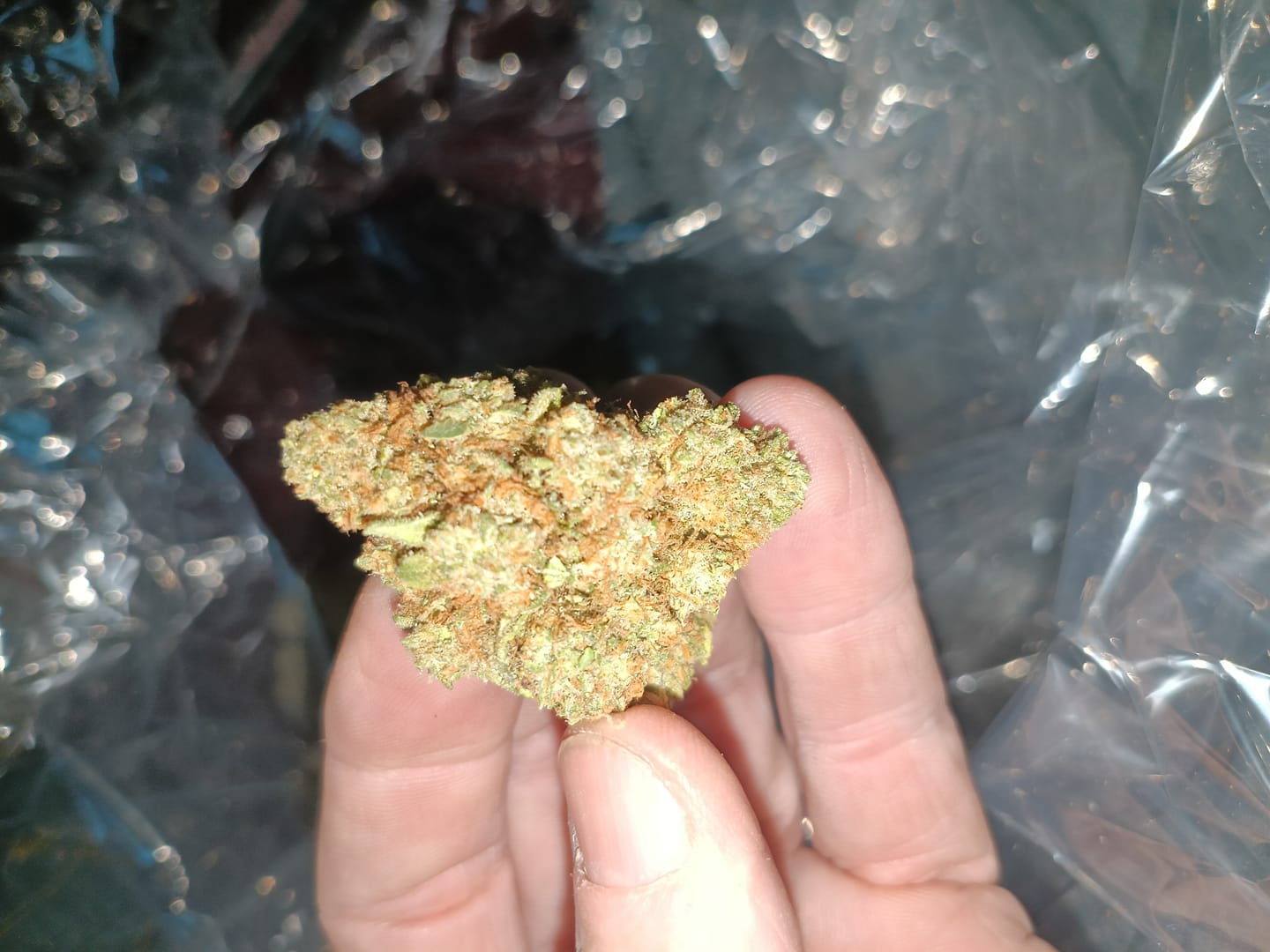 Customer photo review of Elmer's Glue - Bulk - Hybrid
