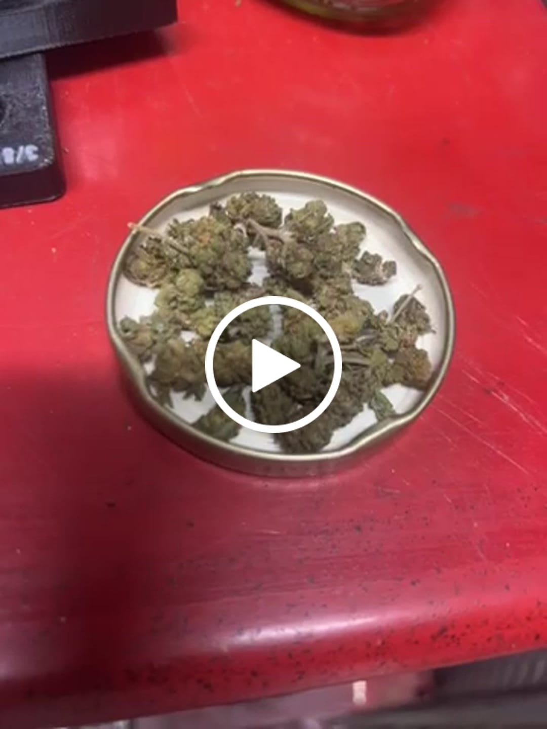 Customer video review of 1 Oz Cheap THCA Small Buds