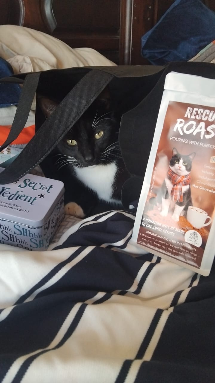 Customer photo review of Hot Chocolate - Cat Angel Refuge