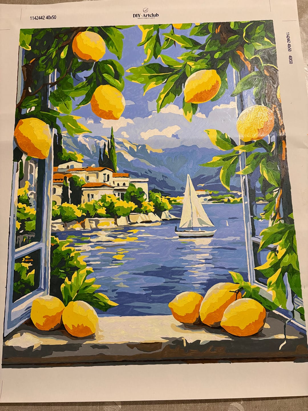 Customer photo review of Lemons & Italian Lake View | Paint by Number