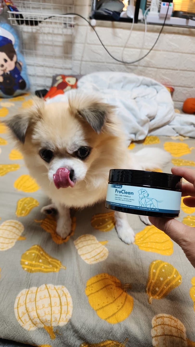 Customer photo review of ProClean™狗狗天然潔牙護齒配方