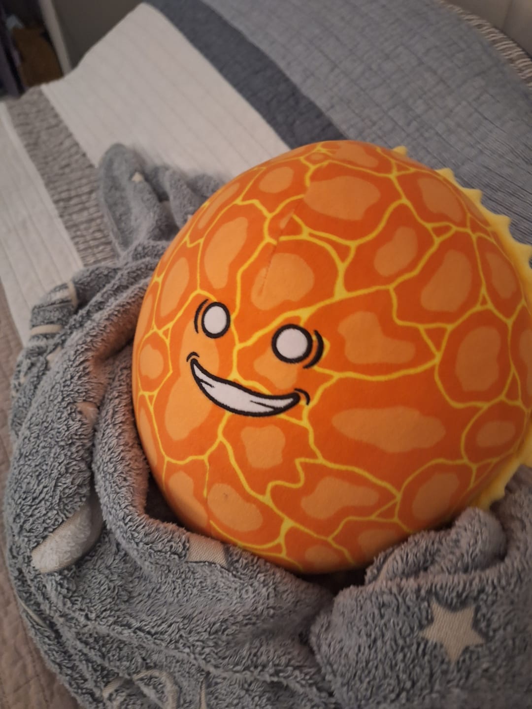 Customer photo review of The SolarBalls Sun Plush