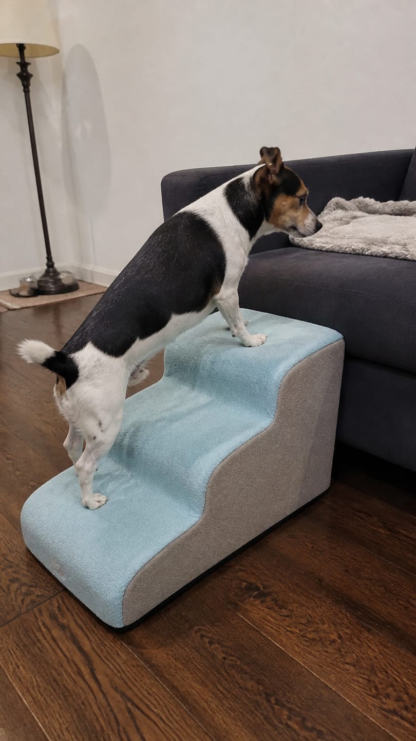 Customer photo review of Gentle Slope Pet Ramp for Beds & Sofas