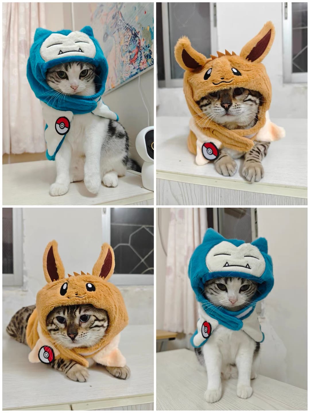 Customer photo review of Poké Pet Costume