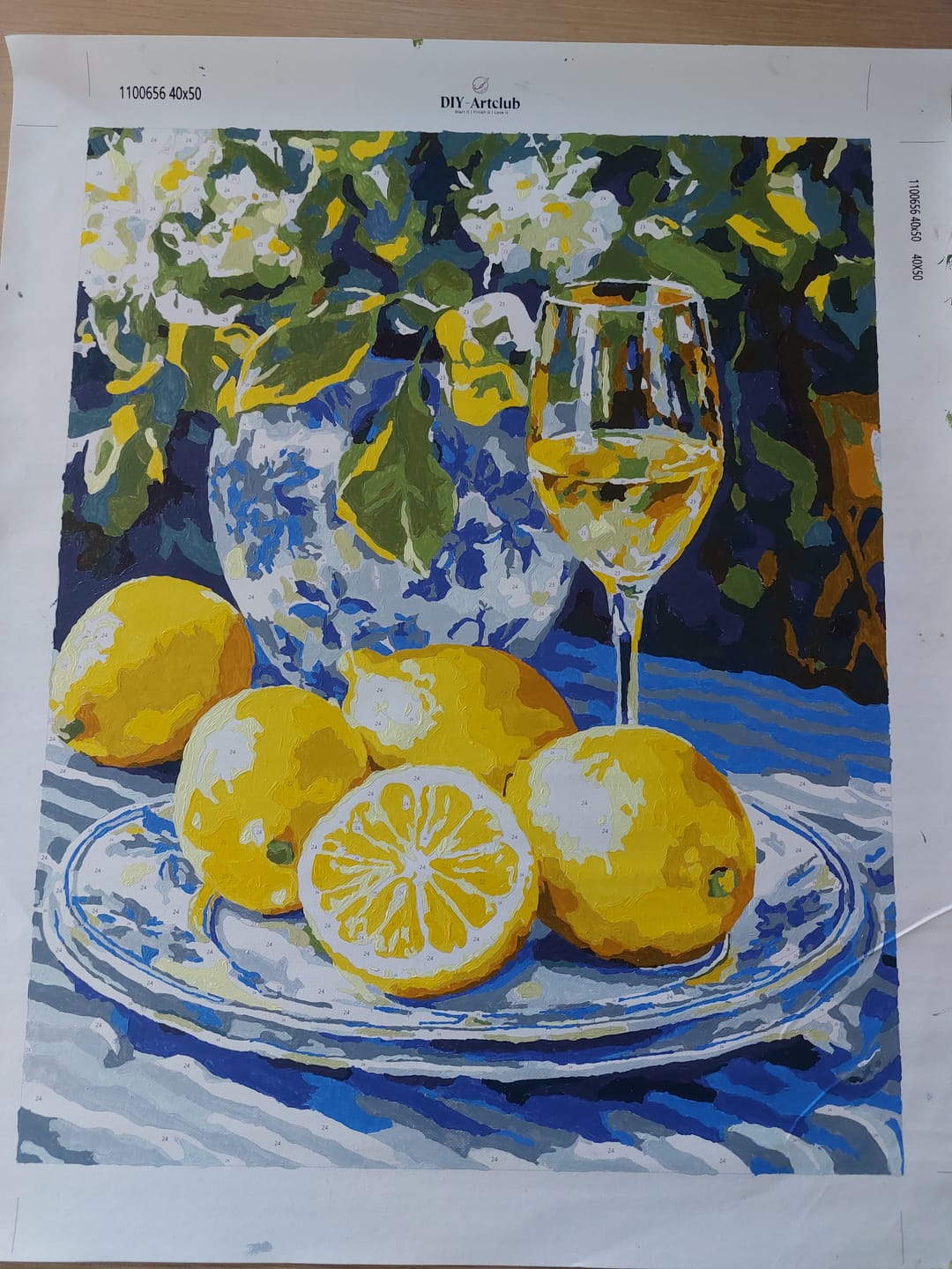 Customer photo review of Lemons and Wine | Paint by Numbers