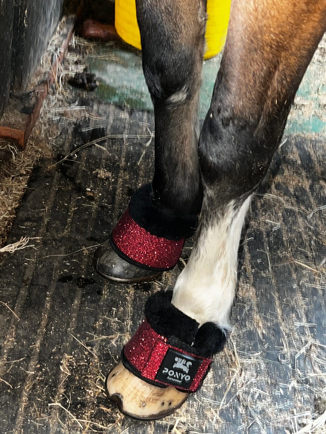 Customer photo review of Sparkle Overreach Boots