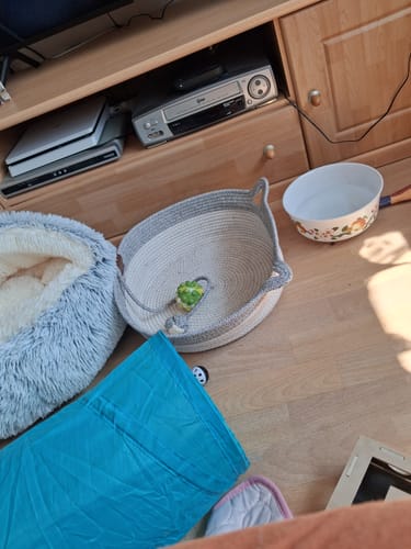 Customer's new round rope cat bed placed on a wooden floor next to a blue tunnel and a white bowl.