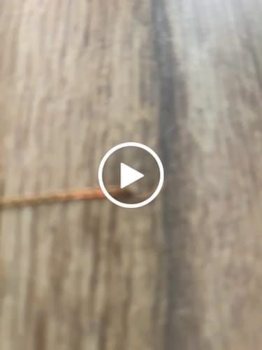 Customer photo review of Moonstone Bracelet - Unprocessed