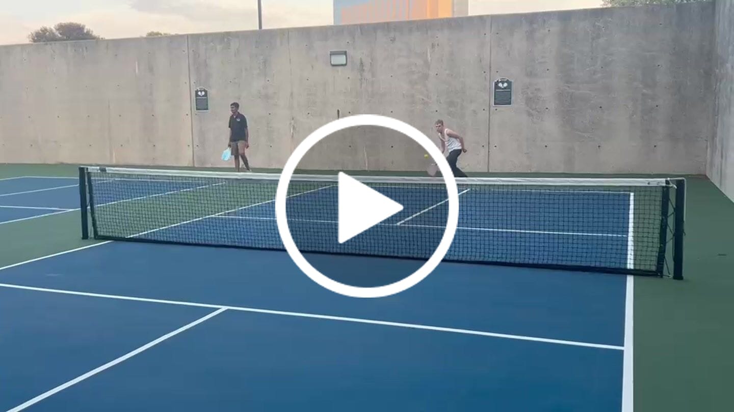 Customer video review of ARTI Fiberglass "Dogs & Giraffes" Pickleball Paddle Set - USA Pickleball Approved