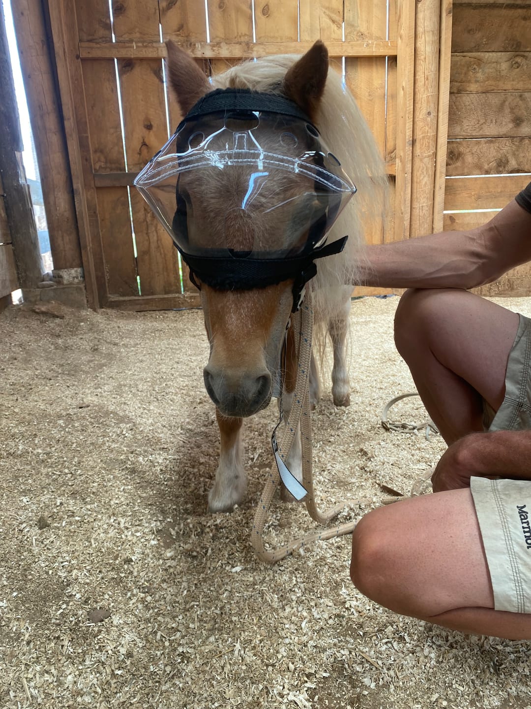Customer photo review of Recovery Vizor - Clear UV Tint