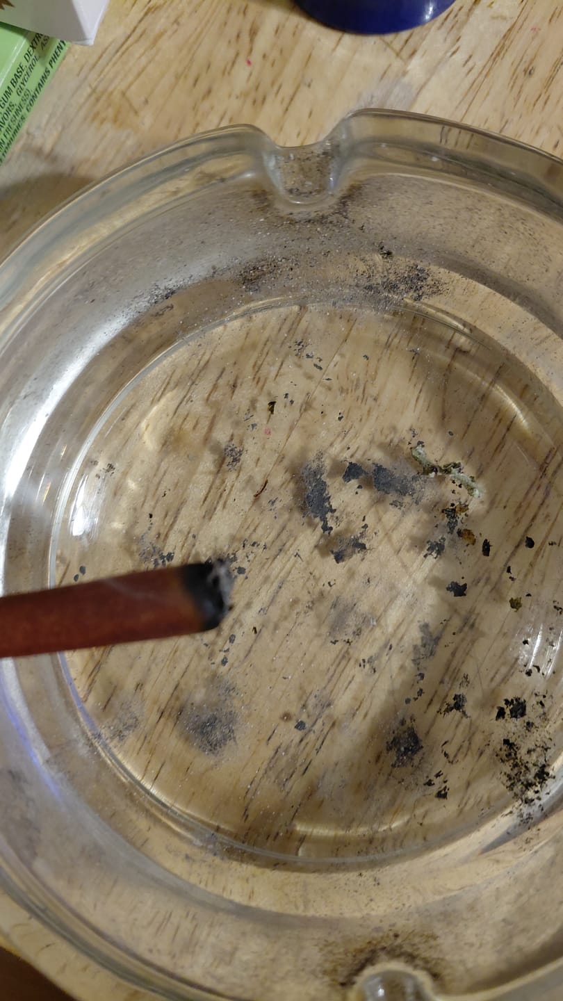 Customer photo review of Biscotti Cake - 28 Grams - Hybrid