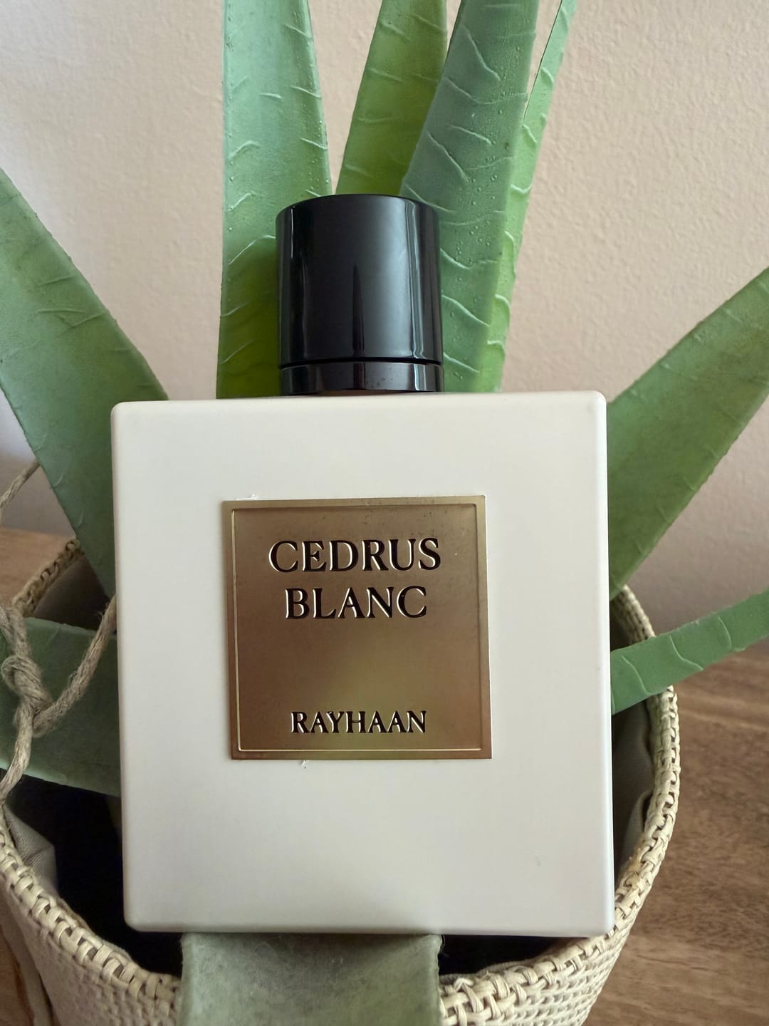 Customer photo review of Rayhaan Cedrus Blanc Eau de Parfum 100ml