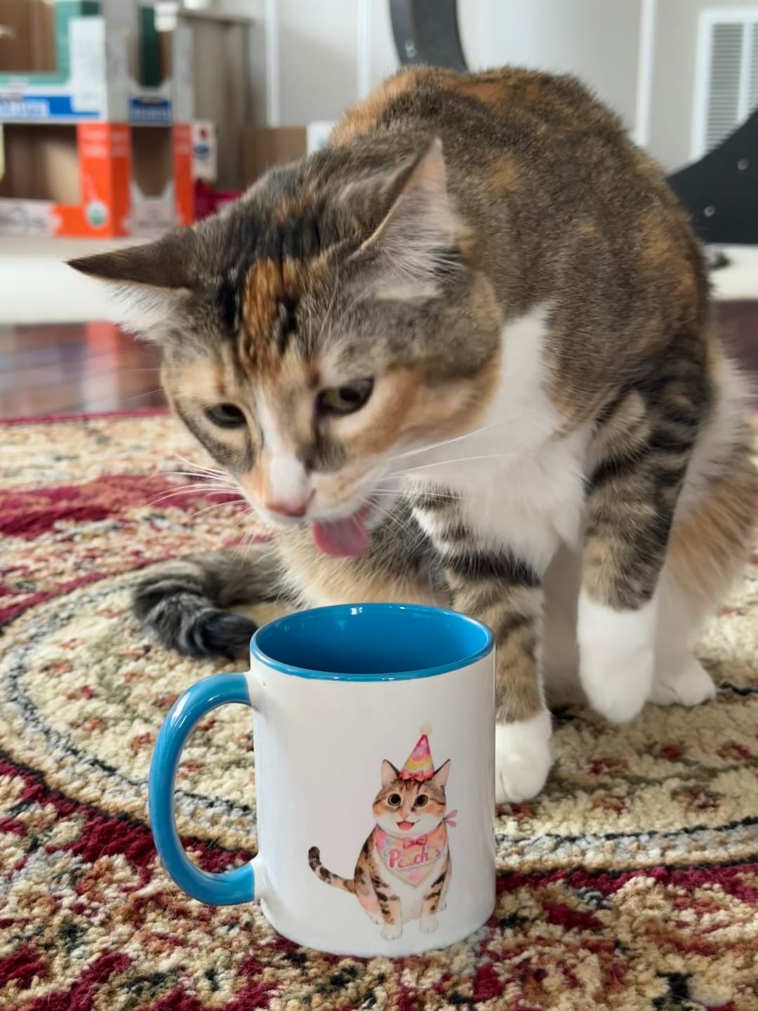 Customer photo review of Celebrate Custom Pet Colorful Mug
