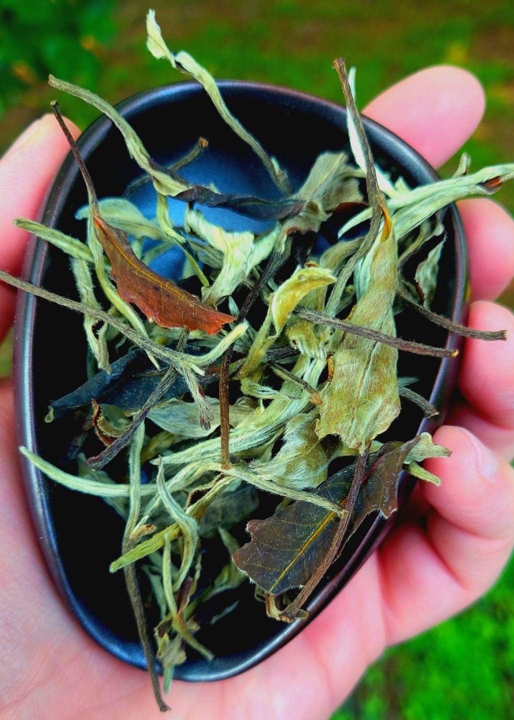 Customer photo review of 2025 Yue Guang Mei Ren White Tea