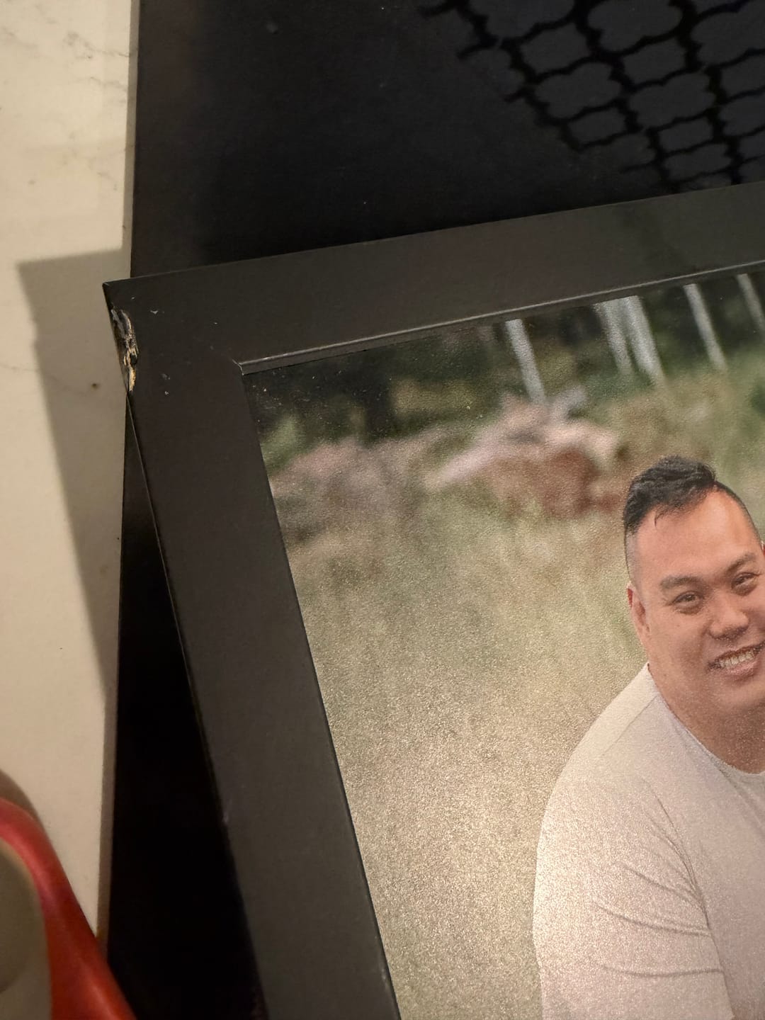 Customer photo review of Framed photo