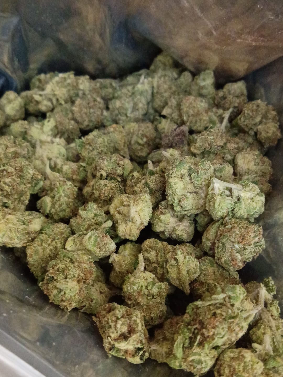 Customer photo review of Speaker Knockers Indoor THCA Mediums