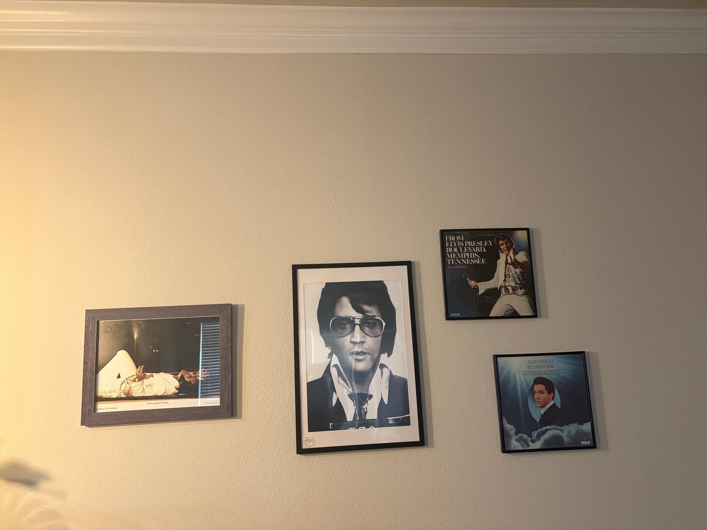 Customer photo review of Elvis Presley Mug Shot