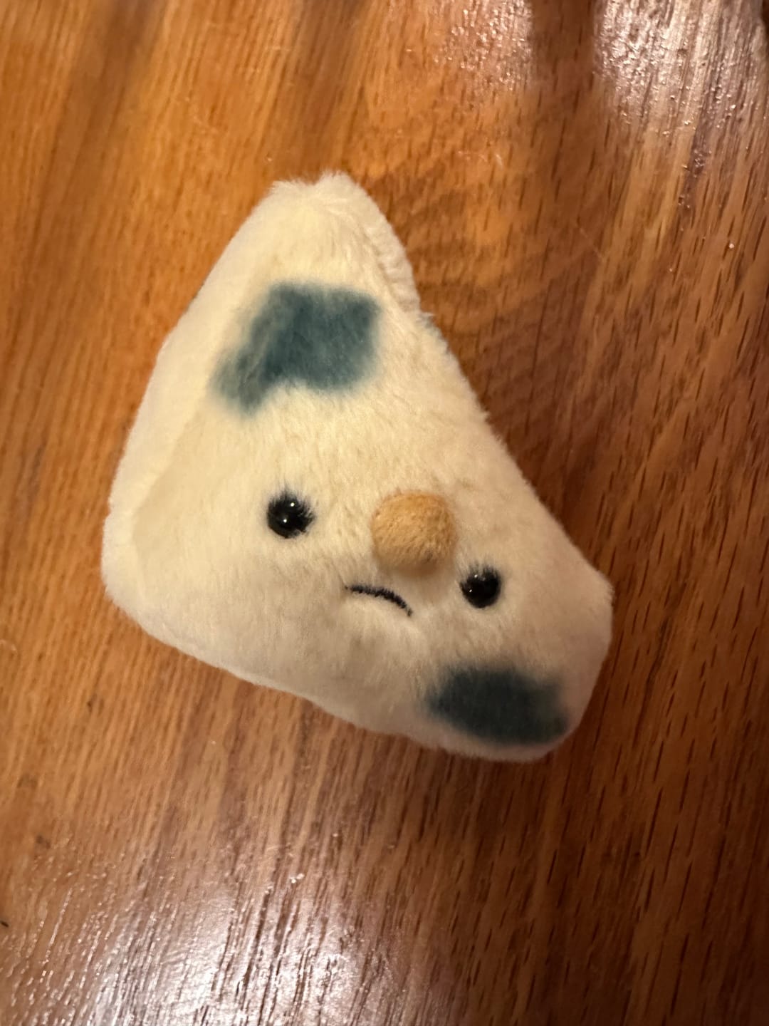 Customer photo review of Forgotten Moldy Parmesan Cheese