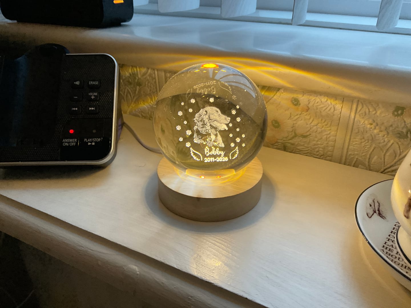Customer photo review of Dog Angel Wings Memorial - Personalized Crystal Ball LED Night Light - Sympathy Gift For Dog Lovers