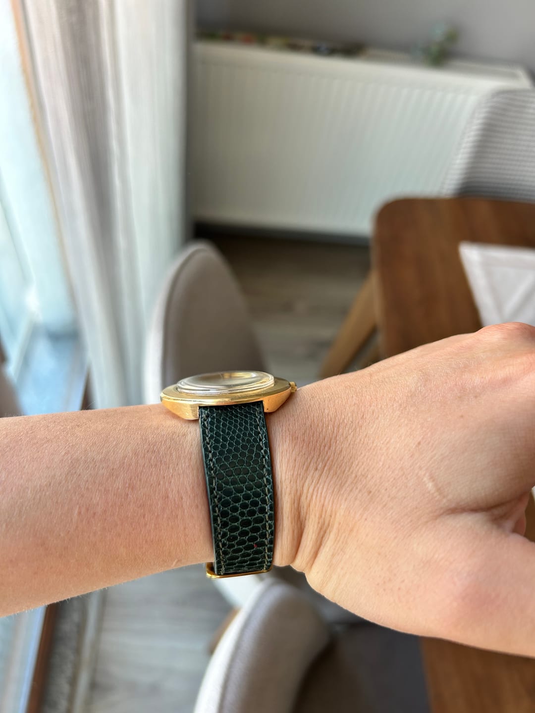 Customer photo review of İguana Saat Kordonu - Yeşil