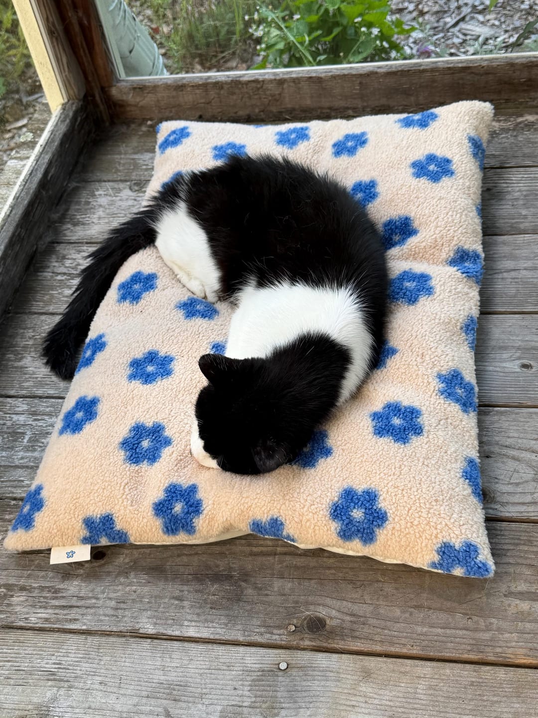 Customer photo review of Daisy Cloud Pastry Bed