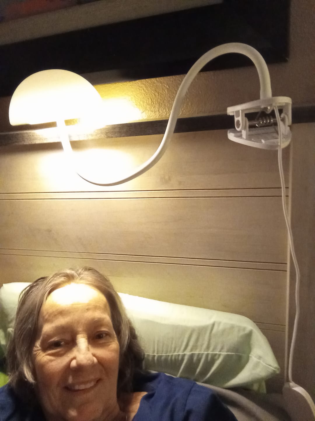 Customer photo review of Shroommate 2.0 - 3 in 1 Clip On Light and Bedside Table Lamp