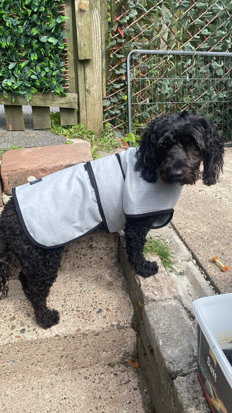 Customer photo review of Luxury Dog Cooling Coat