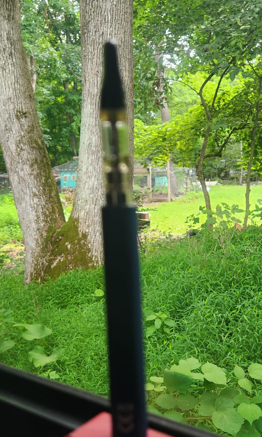 Customer photo review of 1 Gram THC-P Blend Vape Cartridge | Durban Gelato - Hybrid