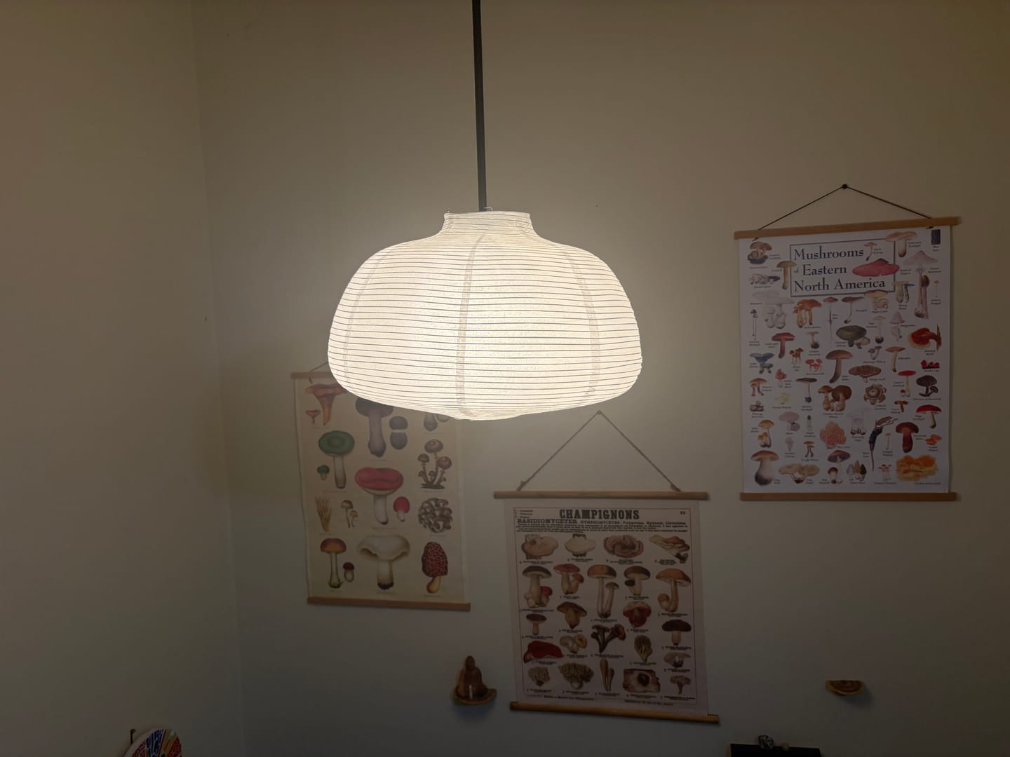 Customer photo review of Large Dome Shaped Premium Fine Line Paper Lantern Lampshade, White (18"W x 11"H)
