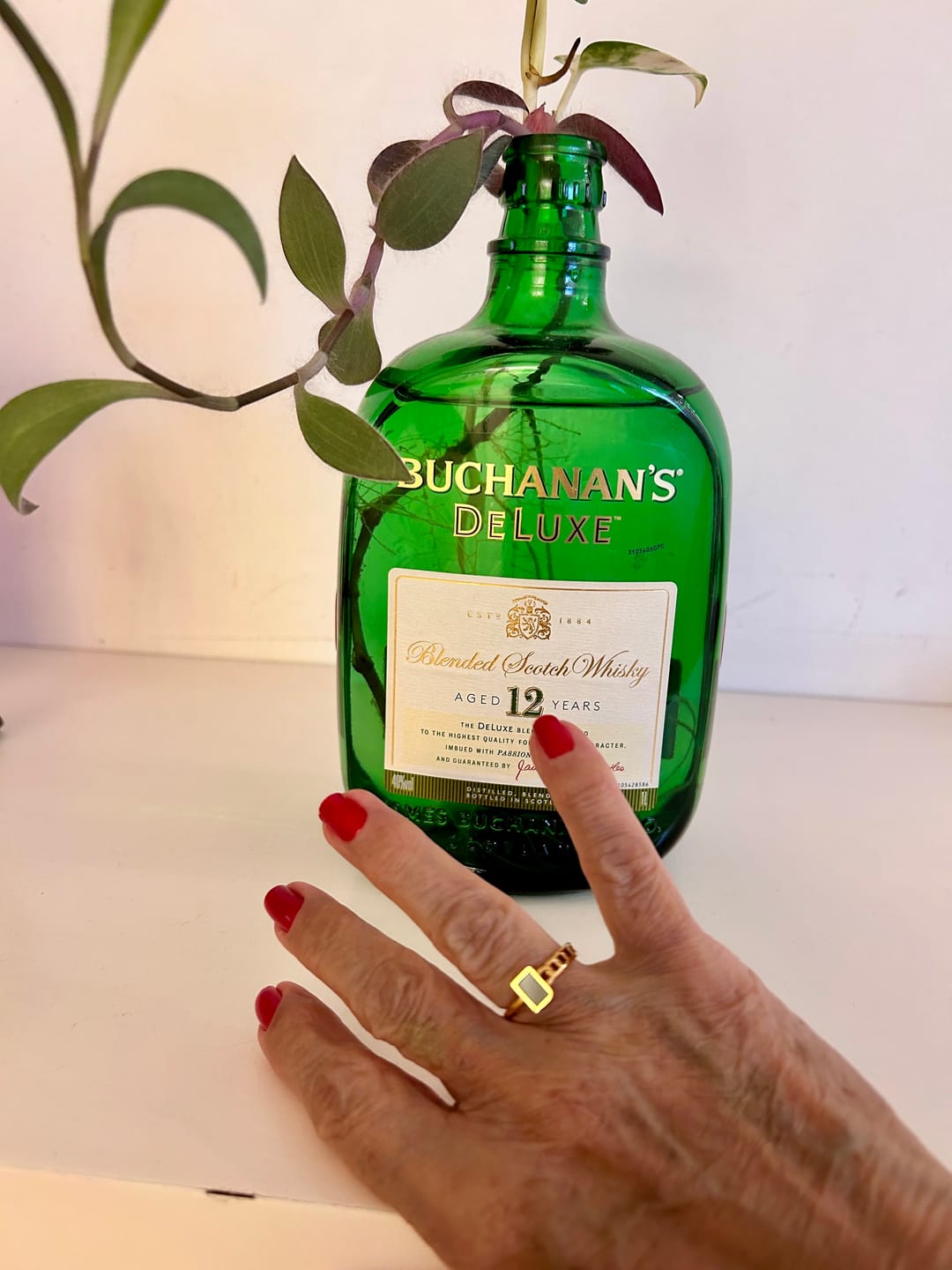 Customer photo review of Anel Fusion Banhado em Ouro 18k