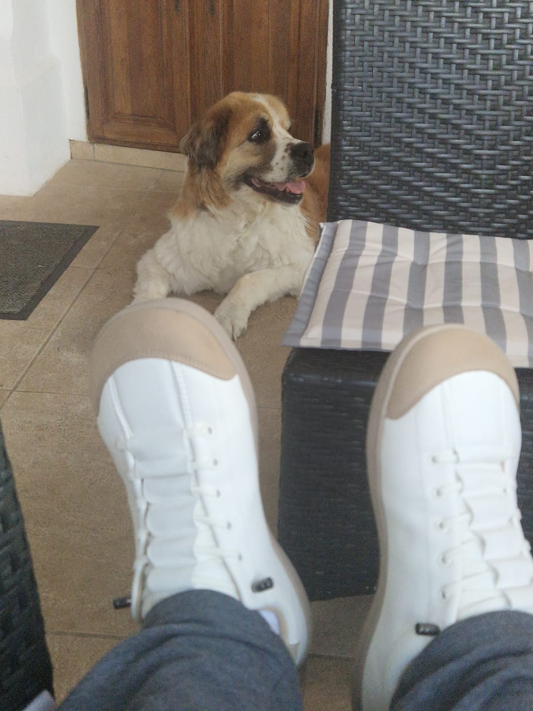 Customer photo review of Tannin - Barfußschuhe
